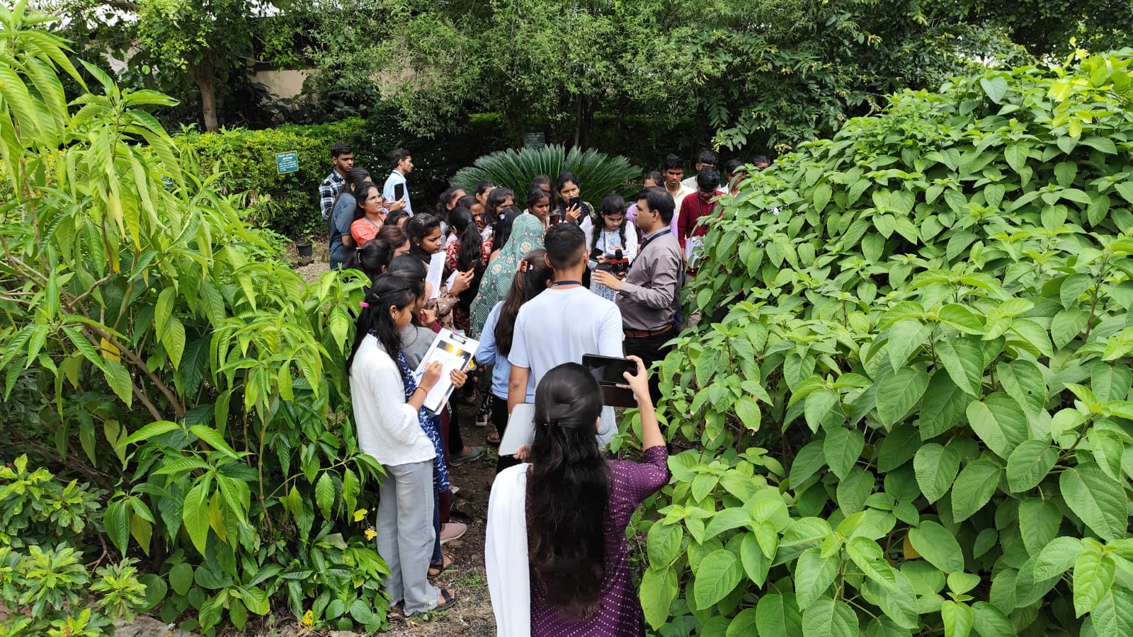 Students writing information about medicinal plants