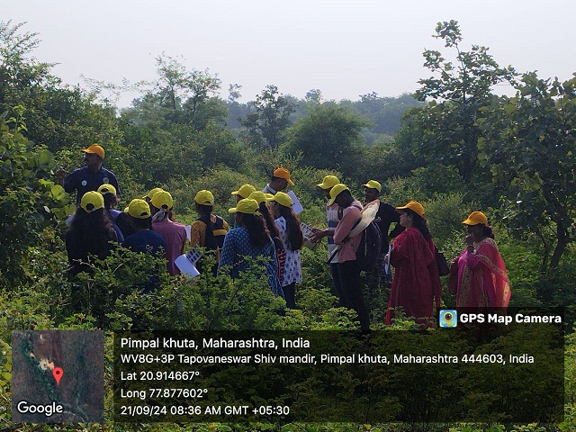 Students observing the butterfly and host plant relationship