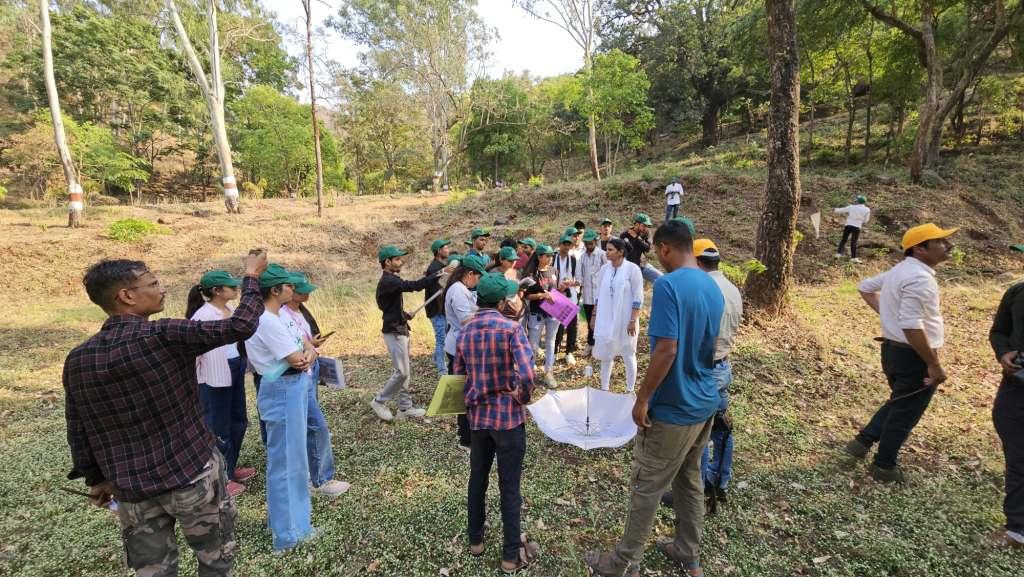On field biodiversity survey techniques demonstrated by the expert