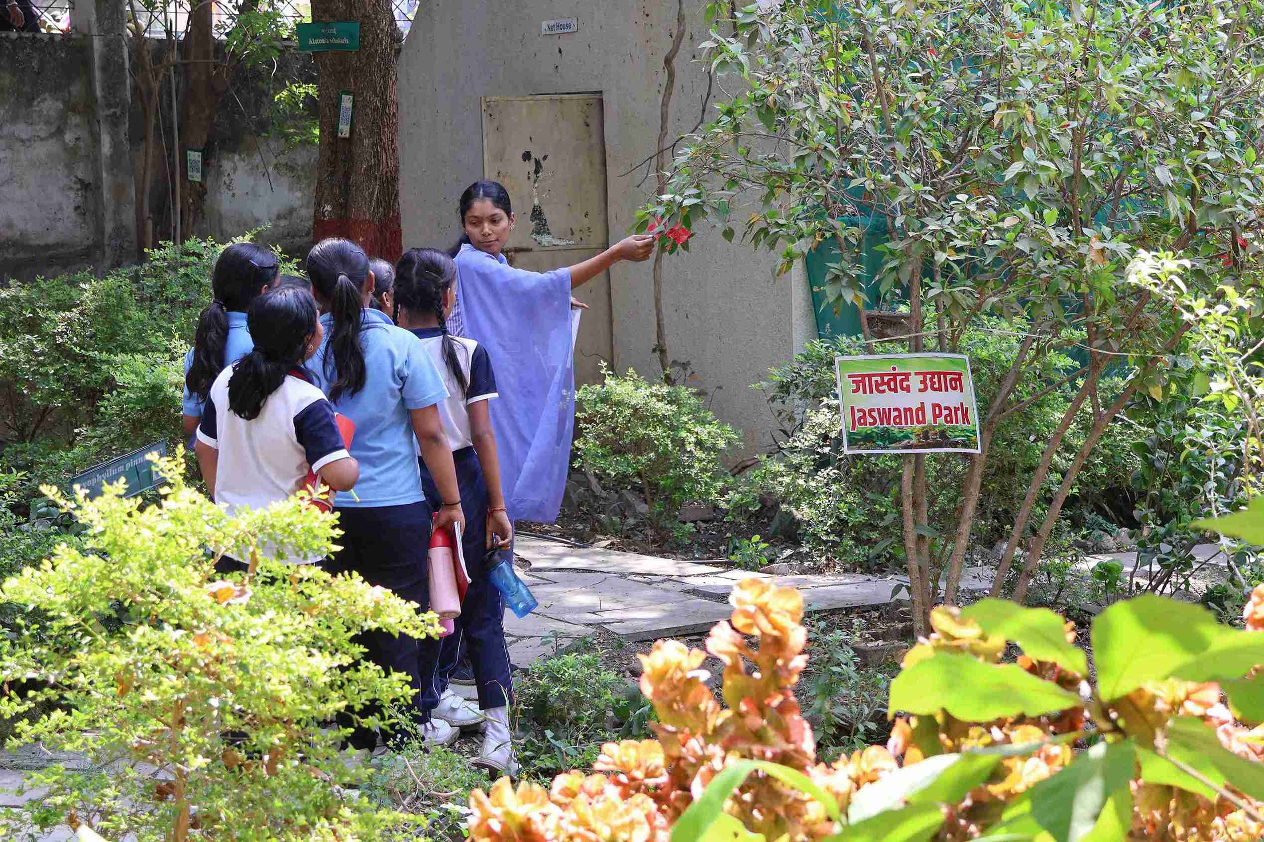 College students explaing medicinal uses of Hibiscus