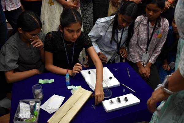 Students performing the process of mounting the beetles under the guidance of ZSI, Scientists