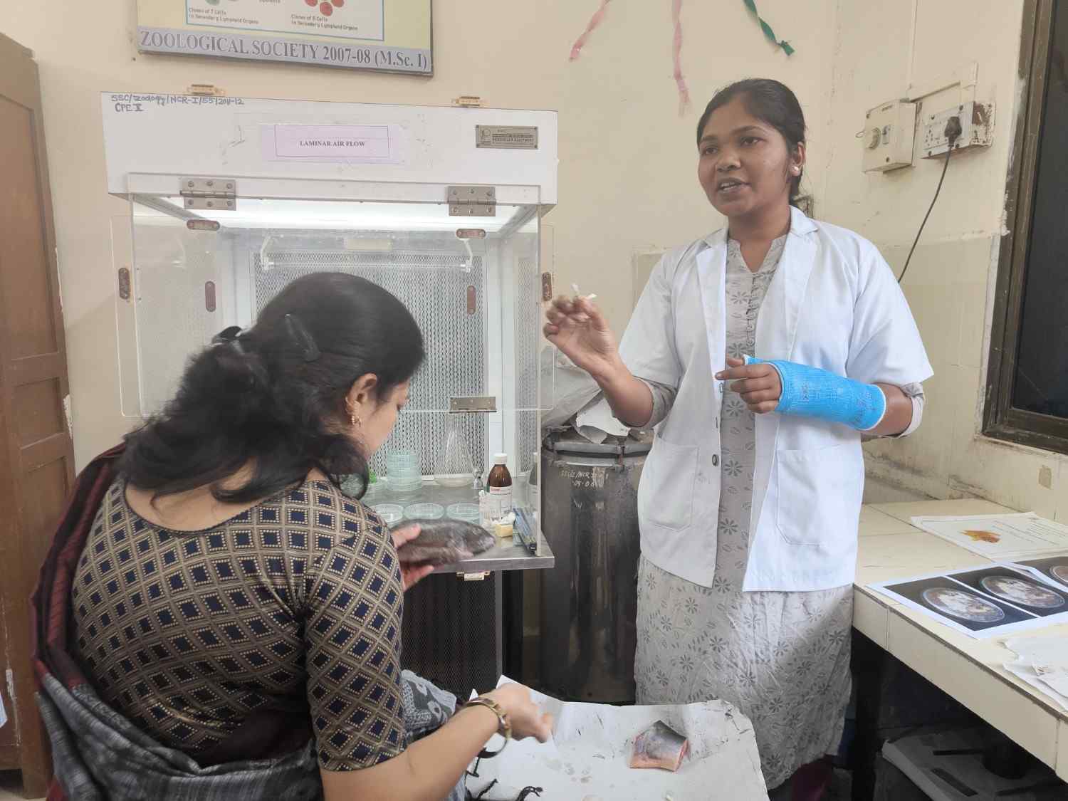 Demonstration for Inoculation of  fungi  from fish