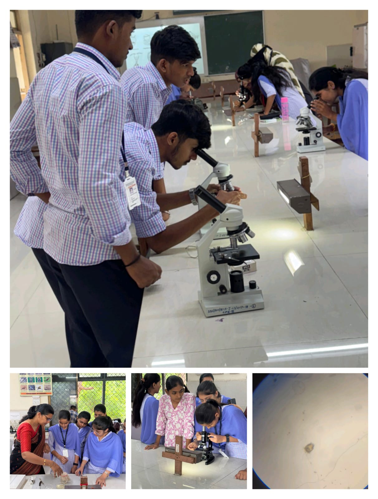 Student observed water Samples (Zooplankton) 