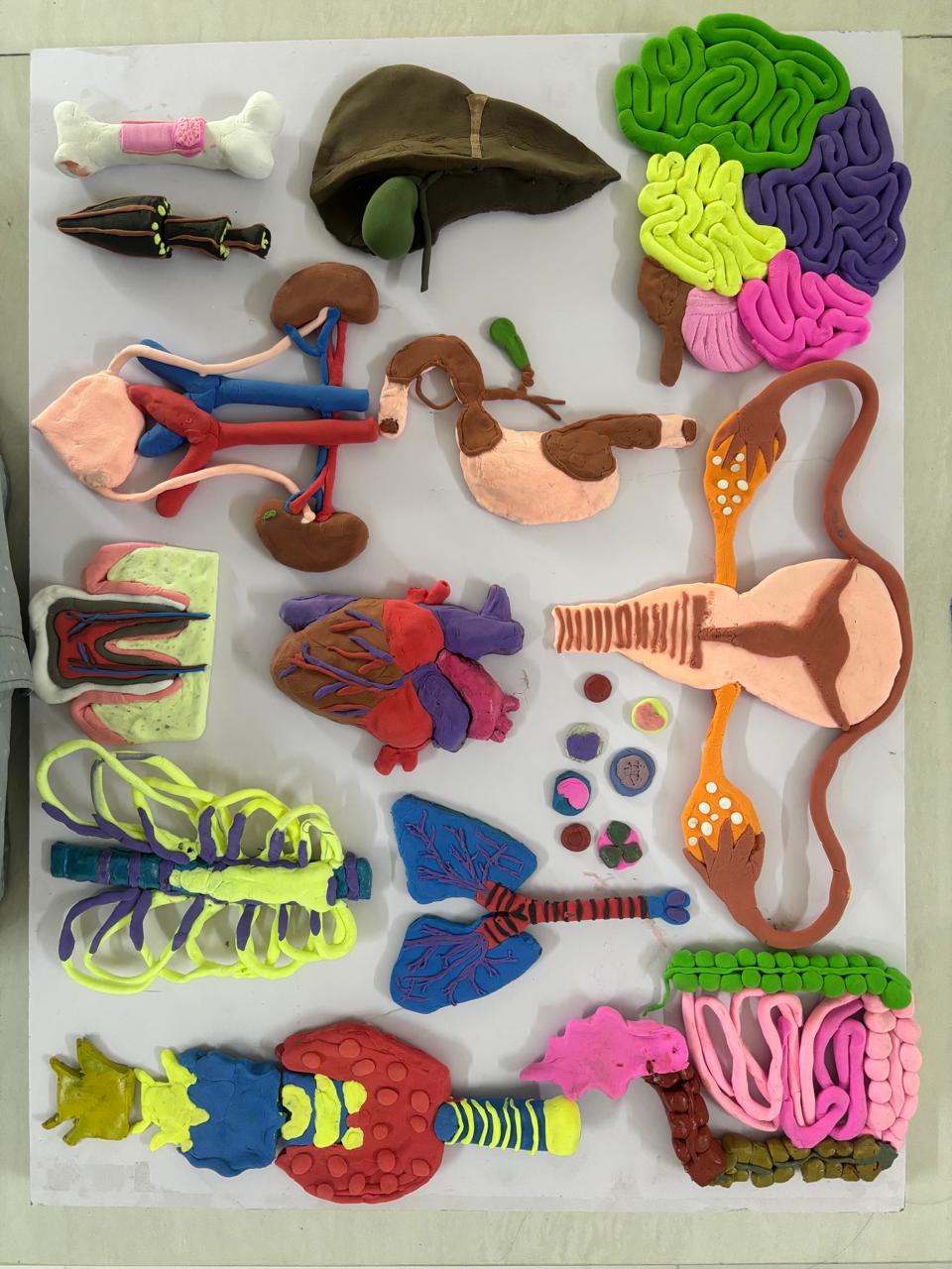 Students making clay models 