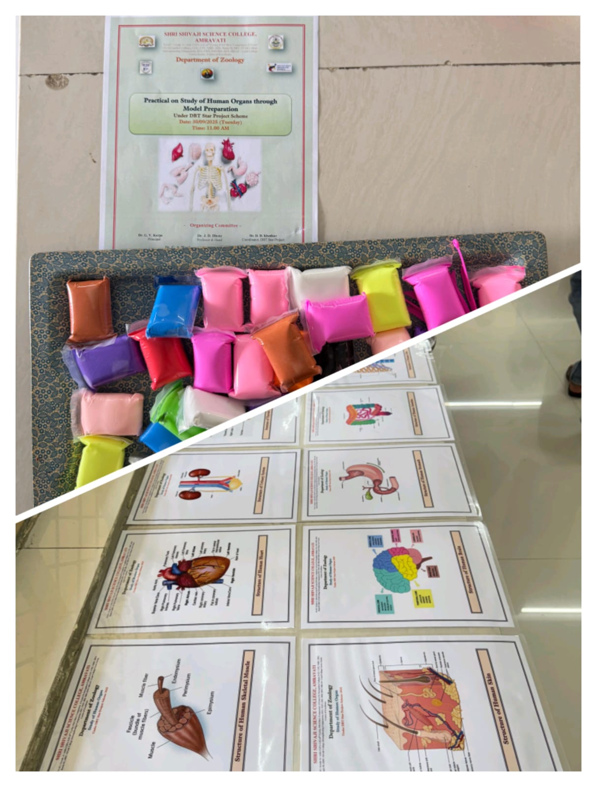 Materials used to create the model