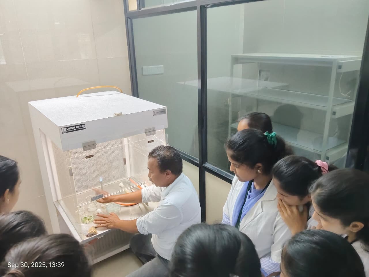 Exploring the science of plant regeneration through tissue culture.