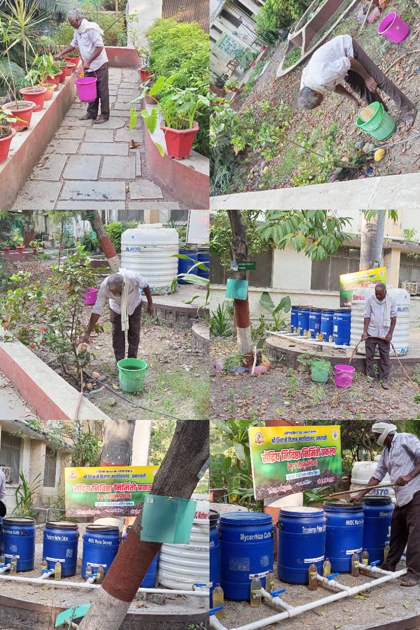 Distribution of Trichoderma and michorhizza 