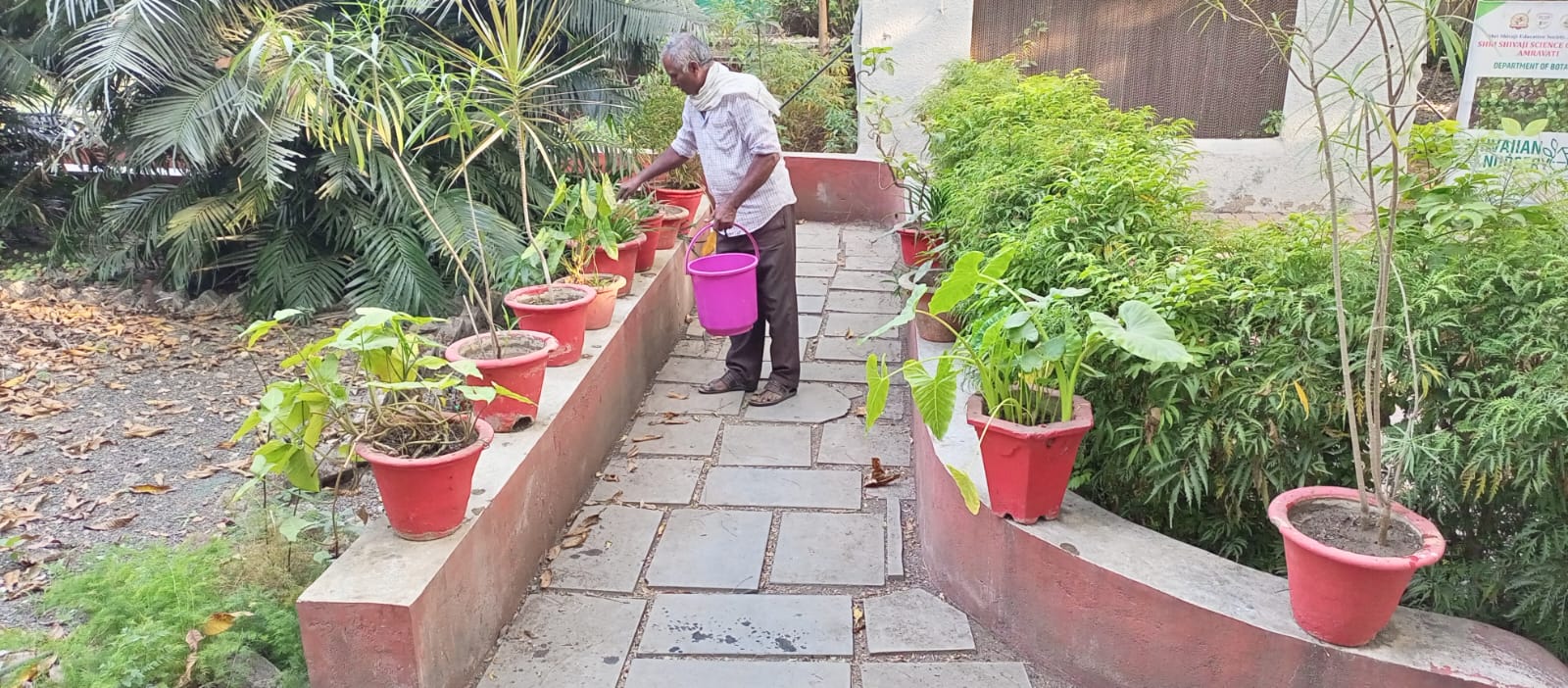 Distribution of Trichoderma, Mycorrhiza, Organic Waste Decomposer, NPK to  Collage Flora and Maintanance