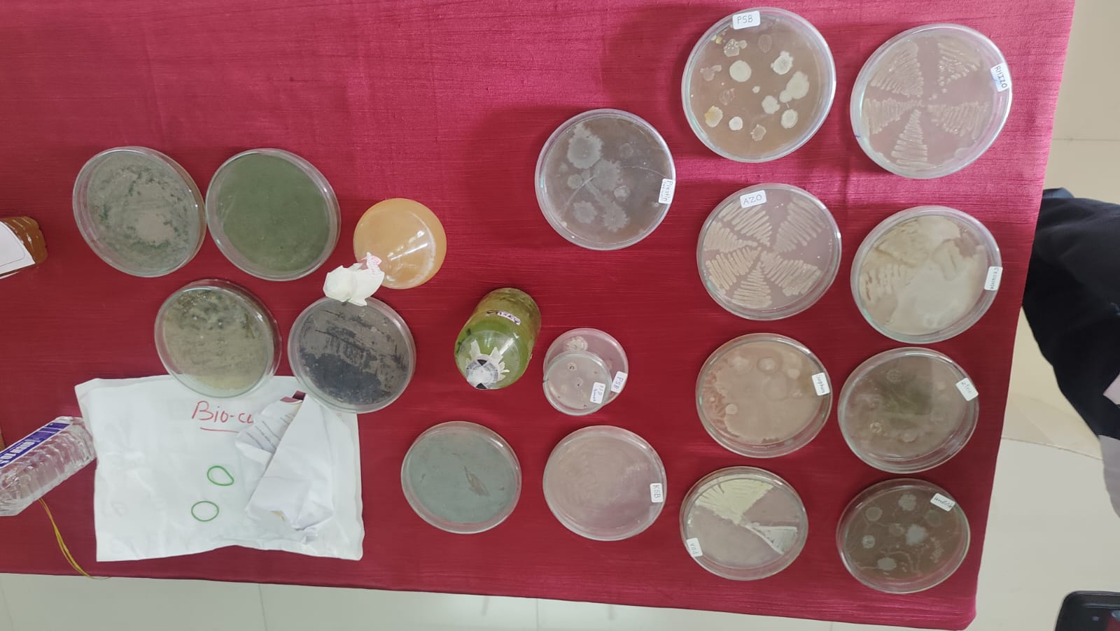 grow green grow smart