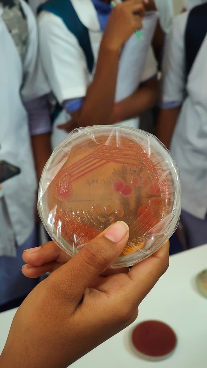 Group photograph of students at the Blood Bank and Pathology Department