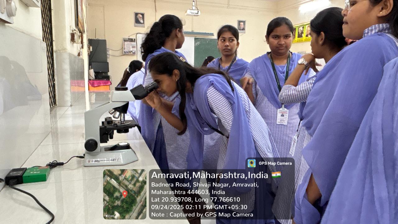 Students observing the mounted slides of sting apparatus of honey bee under microscope