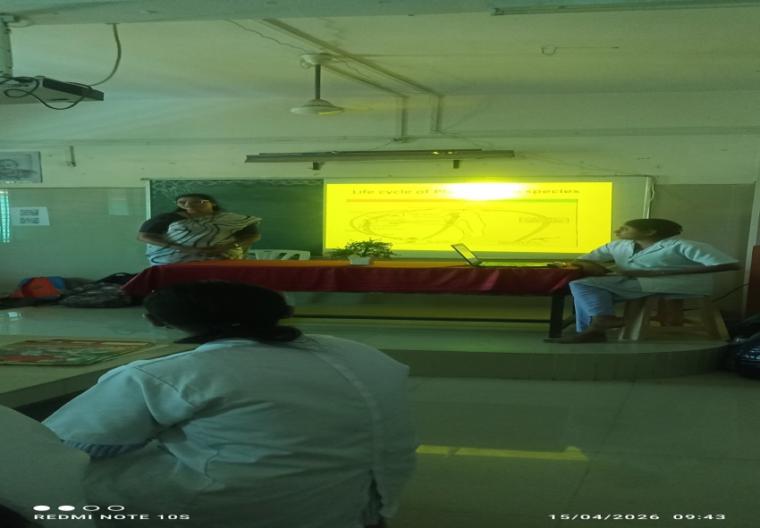 Detailed discussion on different species of Plasmodium.