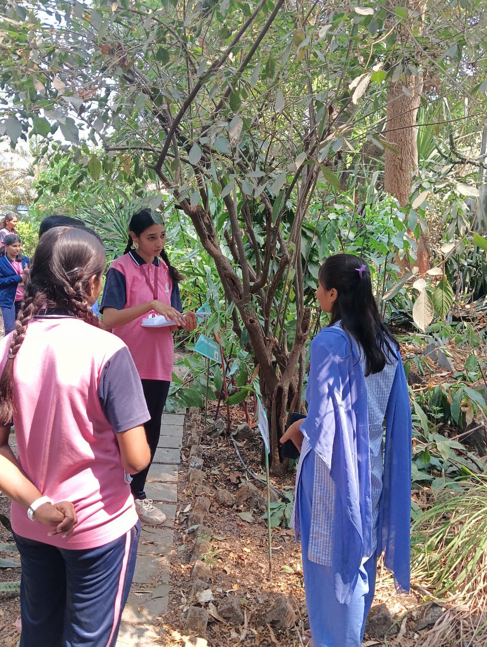 college students provided information to school students 