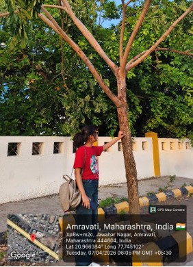 Surveying Jawahar Nagar, one tree at a time at Navsari
