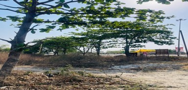 Open land with limited plant growth