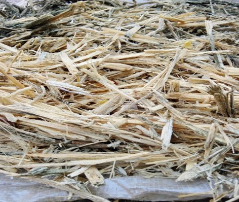 Row material suger cane Bagasse