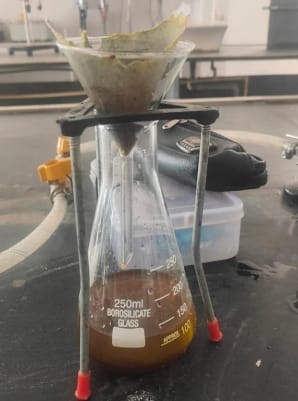 COLLECTION OF PERFUME