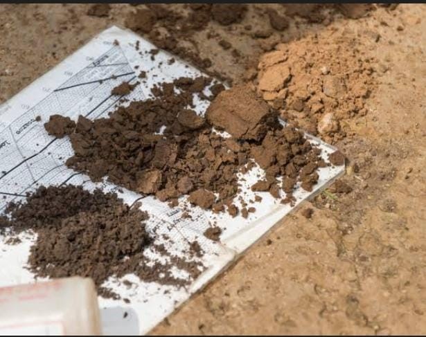 Soil sample collection