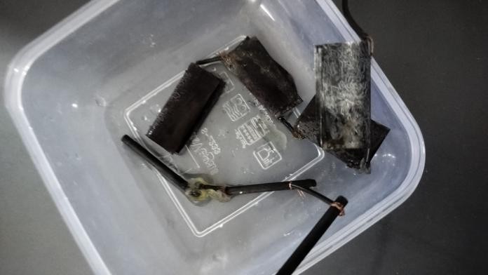 Preparation of Bio-Battery Model