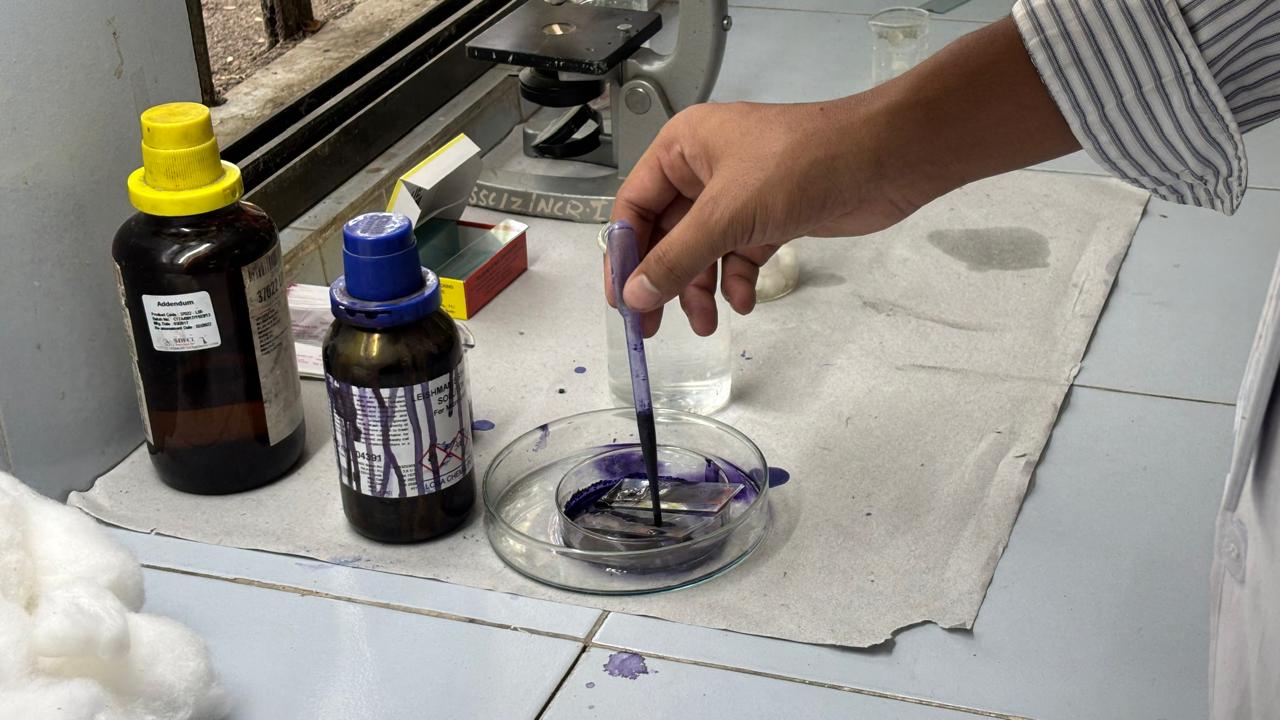 Slide preparation by the students