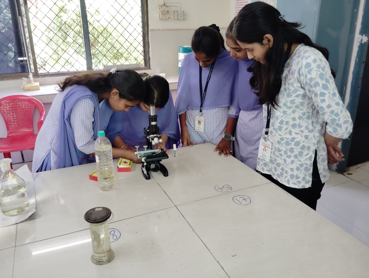 Species Identification via Trichology: Using compound microscopy to examine the structural characteristics of wild animal hair, a key technique in biodiversity studies and wildlife conservation research.